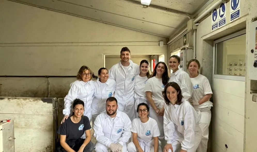 Visitas del alumnado del Máster en Sanidad y Producción Porcina a granjas del Grupo Jorge Visitas del alumnado del Máster en Sanidad y Producción Porcina a granjas del Grupo Jorge