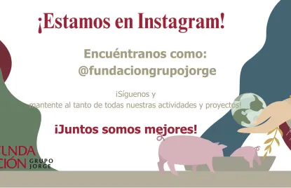Estamos en Instagram